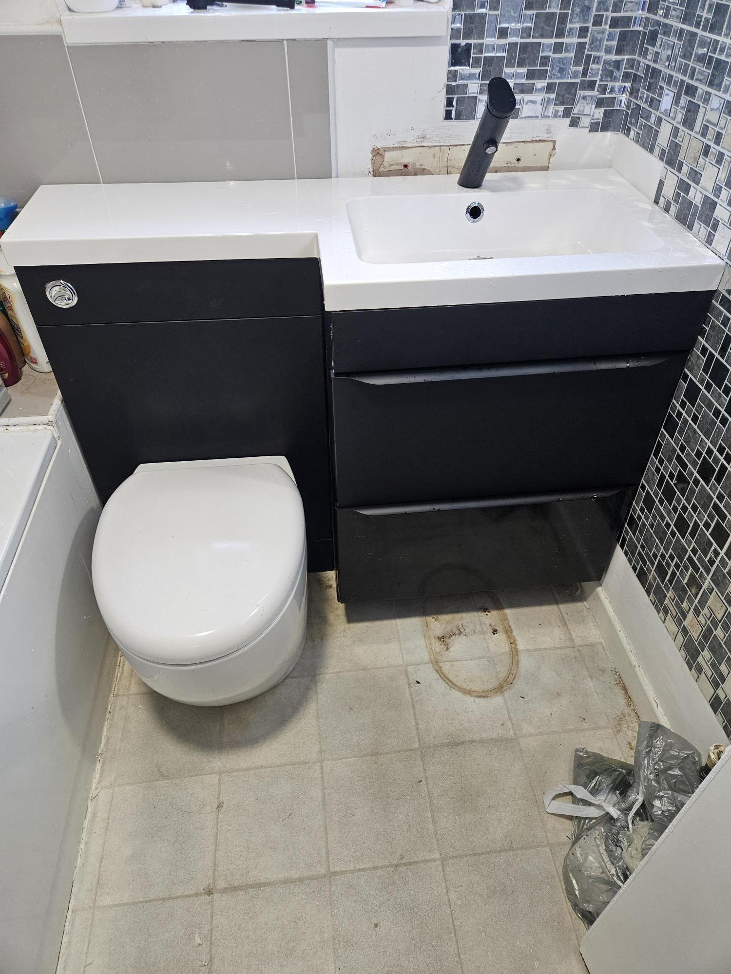 Toilet and sink with vanity unit