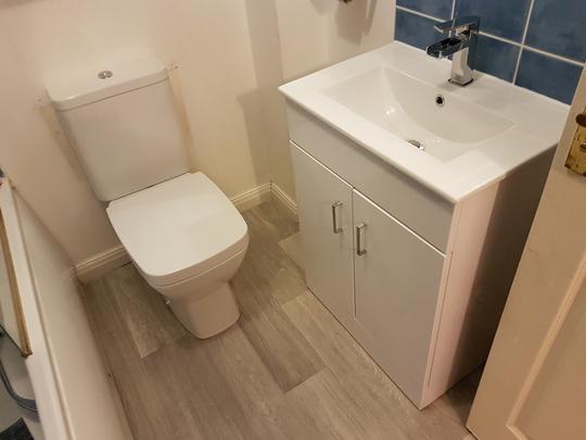 Toilet and sink with vanity unit
